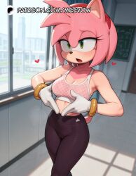amy rose from sonic (series) by meevow