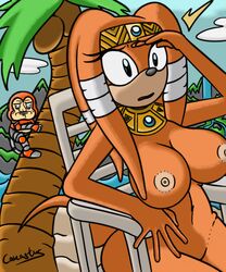 areola beach big_breasts blue_eyes breasts canastus coconut coconuts color day erect_nipples female fur furry hips huge_breasts jewelry machine male me_gusta mechanical meme monkey navel nipples nude outdoors palm rage_comics robot sand sega sonic_(series) summer thighs tikal_the_echidna tree wood