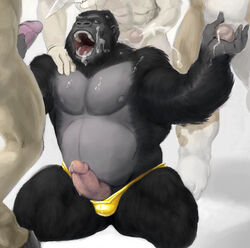 abs ape balls biceps brass_(artist) bukkake cum cum_on_chest cum_on_face cumshot gay gorilla grope group_sex handjob male masturbation muscles orgasm orgy pecs penis precum sex speedo thong underwear