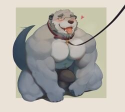 5_fingers anthro barazoku beard biceps big_muscles big_pecs biped black_clothing black_nose black_underwear blush bodily_fluids bulge clothed clothed_anthro clothed_male clothing collar countershade_face countershade_fur countershade_torso countershading deltoids detailed_background detailed_bulge digital_media_(artwork) drooling erection erection_under_clothing eyebrows eyewear facial_hair fingers fur genital_outline glasses grey_beard grey_body grey_eyebrows grey_facial_hair grey_fur heart_symbol hi_res humanoid_hands kneeling leash leashed_collar looking_up male male_anthro male_only mammal muscular muscular_anthro muscular_male muscular_sub mustelid navel nipples open_mouth open_smile otter pecs penis_outline pink_nipples pink_tongue pubes quads red_collar saliva shaded siggy_(storiaxion) simple_background smile solo submissive submissive_anthro submissive_male tail tail_motion tailwag theor three-quarter_view tongue tongue_out topless topless_anthro topless_male trapezius triceps underwear wearing_glasses yellow_eyes