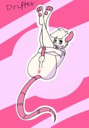 2022 3_toes anthro anus arms_around_legs ass balls big_butt blep blush crossed_arms drifter erection feet femboy fur genitals glans green_eyes hair half-closed_eyes hi_res humanoid_genitalia humanoid_penis legs_up looking_at_viewer lying male mammal murid murine narrowed_eyes on_back pawpads penis perineum pink_anus pink_body pink_glans pink_inner_ear pink_pawpads pink_penis rat reggie_(whygena) rodent solo thick_thighs toes tongue tongue_out white_balls white_body white_fur white_hair white_perineum