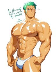 roronoa zoro from one piece by sachuman