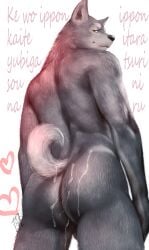 anthro ass athletic athletic_anthro athletic_male balls black_nose bodily_fluids canid canine canis cum cum_on_butt curled_tail fur genital_fluids genitals grey_body grey_fur hi_res japanese_text kemono koda-kota looking_at_viewer male male/male mammal nude nude_anthro nude_male pointy_ears solo tail text translation_request wolf