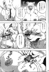 big_breasts big_penis blush breasts canine censored clitoris cum female fur handjob heart human human_on_anthro ineffective_censorship interspecies japanese_text joka_(hiwai) licking muscles nipple_lick nipples nude oral paizuri penis penis_lick puffy_nipples pussy pussy_juice size_difference text tongue translation_request wet_pussy wolf