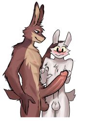 3:4 anthro big_penis biped blush duo erection genitals hi_res humanoid_genitalia humanoid_penis imminent_sex jaybeyyy lagomorph leporid male mammal nude nude_anthro nude_male penis penis_size_difference rabbit size_difference slim slim_anthro slim_male woozy