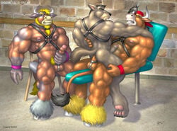 abs anal anal_sex anthro balls beard biceps bondage_gear bovine braford bull canine fur furry gay leather male masturbation muscles nipple_piercing nipples pecs penetration penis piercing sweat uncut