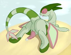 1boy 2012 anus breathing drippy flygon flygon_(artist) male male_only penis petrock pokemon pokemon_(species) pose solo