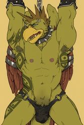 1boy abs anthro avian ball_bulge beak blue_eyes body_piercing bondage collar disney forge_(artist) gargoyle gargoyles green_skin griff_(gargoyles) gryphon male male_nipples male_only male_pubic_hair male_thong mohawk_(hairstyle) muscles muscular_male no_visible_genitalia pecs penis_outline solo tail tattoos thewielder wings