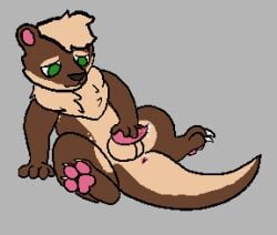 3_toes anus balls bodily_fluids claws feet fur genital_fluids genitals male mammal mane masturbation moonbat multicolored_body multicolored_fur mustelid otter pawpads paws penile penile_masturbation penis pink_pawpads precum semi-anthro sitting solo tail_anus tapering_penis toe_claws toes two_tone_body two_tone_fur