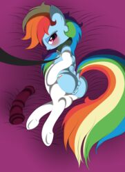 2012 anus bed blush collar dildo equine female friendship_is_magic horse leash looking_at_viewer mare my_little_pony pegasus pussy rainbow_dash_(mlp) sex_toy solo stockings straight_hair submissive v-d-k wings