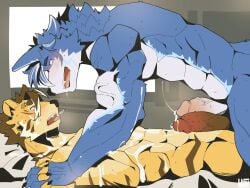 abs after_orgasm after_sex anthro anthro_on_anthro bed biceps blue_body bodily_fluids breath brown_hair canid canine canis claws countershading cum cum_on_body cum_on_face cum_on_self duo eye_contact fangs felid frottage furniture genital_fluids genitals hair hand_holding happy hi_res looking_at_another looming looming_over male male/male mammal muscular naevus on_bed pantherine panting penile penis penises_touching saliva saliva_string sex smile smiling_at_another smiling_at_partner spiked_penis spikes spikes_(anatomy) steam striped_body stripes teeth tiger tongue tongue_out vein wolf yellow_body