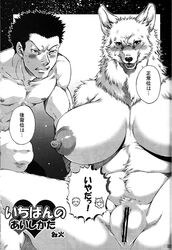 1boy big_breasts blush breasts canine censored clitoris female fur human human_on_anthro ineffective_censorship japanese_text joka_(hiwai) male muscles nipples nude pussy text translation_request wolf