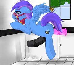 bluepencil bo collar cum cute dildo equine friendship_is_magic furry furry_only gay horse horsecock male my_little_pony no_humans pegasus penis sex_toy wings