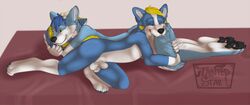 anthro balls bedroom bone canine cuddling furry hug husky male male_only mature tail_hug taintedstar wachhund