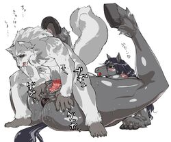 anthro anthro_only anus blush breasts color female happy happy_sex hooves horse japanese_text male mare nezumi penis piledriver_position pussy reverse_cowgirl_position sex straight translation_request uncensored vaginal_penetration werewolf wolf