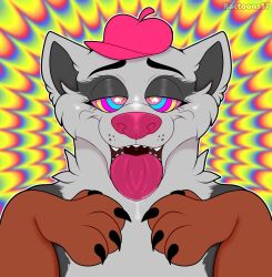 drool drooling hypnosis hypnotic_background hypnotic_eyes looking_at_viewer paws raccoon raccoon_dog ractoons raven_valentine_rose tanuki tongue_out