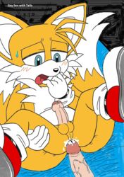 anal anal_sex anthro anus ass bed blue canine cum cum_in_ass cum_inside fox fur furry furry_tail human male male_only multiple_males multiple_tails penetration sega sex sonic_(series) sonic_team sonic_the_hedgehog_(series) sonic_the_hedgehog_2 tail tails yaoi