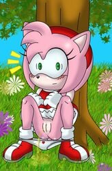 amy_rose color female female_only front_view fur furry hedgehog peeing pink_fur solo sonic_(series) sonictopfan urination urine