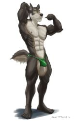 2018 5_fingers 5_toes abs anthro black_nose broad_shoulders brown_body brown_fur brown_nipples bulge canid canine canis claws clothed clothing erection_in_underwear feet fingers flexing fur genitals half-erect humanoid_feet looking_at_viewer male mammal multicolored_body multicolored_fur muscular muscular_anthro muscular_male nipples pecs penis plantigrade pose sampsonwoof serratus signature simple_background smile solo speedo standing story story_in_description swimwear tail tan_body tan_fur toe_claws toes underwear underwear_only white_background wolf yellow_eyes