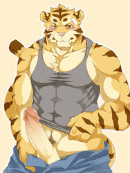 anthro blush brown_eyes chest_tuft clothed clothing erection feline fur furry furry_only kenn looking_at_viewer male male_only muscles nude pants penis pink_nose plain_background presenting pubes shirt solo stripes tiger underwear