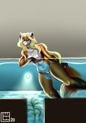 absurd_res anthro female hi_res lynn_(wenqu0304) redfox solo wenqu0304