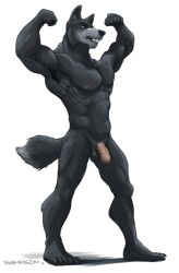 2016 5_fingers 5_toes abs anthro balls big_chest big_muscles black_body black_fur black_nose blue_eyes broad_shoulders canid canine canis claws dipstick_tail feet fingers flexing fur genitals grey_body grey_fur humanoid_feet humanoid_genitalia humanoid_penis male mammal markings multicolored_body multicolored_fur muscular muscular_anthro muscular_male navel nipples nude pecs penis pink_nipples pink_penis plantigrade pose pubesopen_mouth sampsonwoof serratus signature simple_background solo standing tail tail_markings teeth toe_claws toes vein veiny_penis white_background wolf