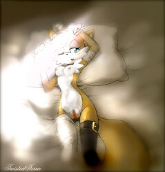 breasts color ellie_prower exposed_breasts female female_only fox front_view fur furry furry_breasts miles_prower pussy rule_63 solo sonic_(series) tails tailsko twistedterra vulva