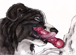 2015 ambiguous_gender animal_genitalia animal_penis anthro anthro_on_anthro artist_logo black_body black_fur black_nose blue_eyes border_collie canid canine canine_genitalia canine_penis canis collie dated domestic_dog duo erection fur genitals herding_dog kola_(artist) logo male male/ambiguous mammal pastoral_dog penis pink_tongue sheepdog side_view signature simple_background tongue tongue_out white_background white_body white_fur