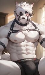 1boy ai_generated anthro anthro_only boxer_briefs boxers boxers_(clothing) bsky_link bulge canine canis chest_harness civitai dvxxxgrai fluffy_tail furry furry_male furry_only gay gay_male harness male male_focus male_only male_underwear pixai pony_diffusion_xl red_eyes solo solo_focus solo_male tagme tail twitter twitter_link underwear underwear_only von_lycaon white_fur yaoi zenless_zone_zero