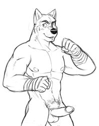 1boy abs anthro balls biceps boxer canine erection fur furry male male_only muscles pecs penis solo vasuki wolf