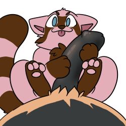 anthro big_penis duo excited female genitals hi_res huge_cock larger_male male male/female mammal penis poppy_(skellyroon) procyonid raccoon size_difference skellyroon smaller_female space_(skellyroon) telegram_sticker tongue tongue_out