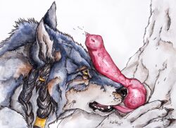 2015 animal_genitalia animal_penis anthro anthro_on_anthro black_lips blue_body blue_fur canid canine canine_genitalia canine_penis dated duo erection fangs fur genitals knot kola_(artist) licking lips male male/male mammal open_mouth oral penile penis penis_lick red_penis sex sheath signature simple_background solo_focus tan_body tan_fur teeth tongue white_background white_body white_fur white_sheath yellow_eyes