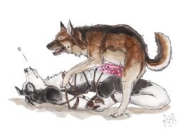 2015 animal_genitalia animal_penis anthro anthro_on_feral artist_logo black_body black_fur bodily_fluids bondage bondage bound brown_body brown_fur brown_pawpads canid canine canine_genitalia canine_penis cum cum_on_own_penis cum_on_penis cum_on_self cumshot dated duo ejaculation erection feral fur genital_fluids genitals heart_symbol knot kola_(artist) logo lying male male/male mammal mouth_closed on_back on_top open_mouth pawpads penis realistic_feral red_penis restraints rope rope_bondage side_view signature simple_background tan_body tan_fur tongue tongue_out white_background white_body white_fur zoophilia