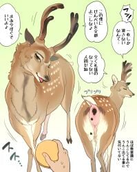 antlers buriburiri2 cervine cracker deer duo fawn_spots feces feral food hi_res horn japanese_text male mammal scat sika_deer solo_focus speech_bubble text translation_request