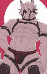 anthro bulge canid canine canis fur isaacyote_(artist) male_only mammal muscles muscular muscular_anthro muscular_male panties tagme tail von_lycaon white_body white_fur white_hair wolf zenless_zone_zero