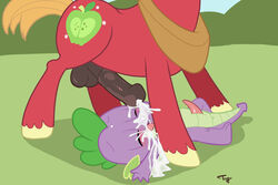 balls big_macintosh_(mlp) blush closed_eyes cub cum cum_on_face cumshot cutie_mark dragon equine erection friendship_is_magic gay horse horsecock launny male messy my_little_pony orgasm penis pony smooth_skin spike_(mlp) young