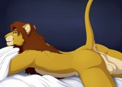 anthro anus balls bed bed_sheet bedding caraluca disney fan_character felid feline furniture genitals hi_res lion looking_at_viewer lying male male_only mammal mane on_bed on_front pantherine solo suggestive tail the_lion_king zilvus