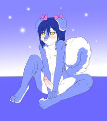 3_toes 5_fingers anthro barefoot blue_fur blue_hair blush bow canine cute dog erection femboy front_view fur furry furry_ears furry_tail futanari hair husky ian intersex liontaro male male_only mutt nipples nude open_eyes penis sitting solo tail white_fur yellow_eyes