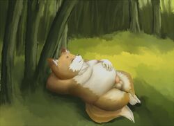 balls brown_fur canine chubby closed_eyes erection fox male male_only penis sleeping solo zangusuu