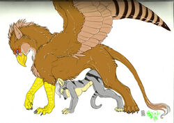 2010 anthro anthro_on_feral avian beak breasts female feral fur gryphon interspecies male mammal marsupial nude plain_background serpy sex shinigamigirl size_difference straight thylacine vex_windarian white_background wings wintersnowolf zoophilia