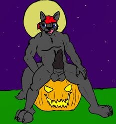 balls bandana canine cookiekangaroo ejaculation furry jack-o'-lantern looking_at_viewer lupine_assassin male male_only no_humans penis pumpkin solo wolf