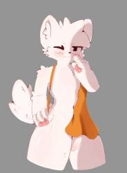 anthro apron blush boy_kisser_(meme) clothing domestic_cat felid feline felis flaccid foreskin fur genitals hi_res humanoid_genitalia humanoid_penis k0_bemy male mammal meme penis simple_background solo tail white_body white_fur