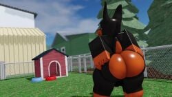 1920x1080 1boy 3d animated anthro big_butt canine digital_art digital_media dobermann doghouse hi_res high_resolution highres loop male male_only mp4 outside roblox robloxian short_playtime shorter_than_10_seconds solo_furry solo_male tagme tail video willie_piv