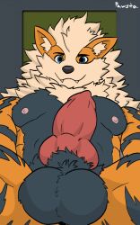 animal_genitalia animal_penis anthro arcanine balls blue_eyes canine_genitalia canine_penis fluffy game_boy game_boy_family generation_1_pokemon genitals hi_res knot knotted_penis male muscular neck_tuft nintendo pawsta penis pokemon pokemon_(species) solo tuft