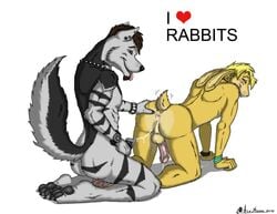 2012 ace_stryker after_sex anal ass balls blonde_hair blue_eyes blush bracelet brown_eyes brown_hair canine cum cum_inside furry gay hair jewelry lagomorph looking_back male messy no_humans panting penis rabbit wolf