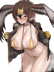 golden eagle (kemono friends) from kemono friends by shibori kasu