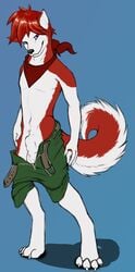 anthro balls bandana belt canine cenny clothes fur furry husky jerbie male male_only nude penis pose sheath shorts undressing zipper