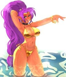 1girls arm_up armpits artist_request big_breasts bikini bikini_bottom bikini_top blue_eyes bottomwear breasts cleavage ear_piercing earrings female female_only gold_bikini golden_bikini hair hips hoop_earrings pointy_ears ponytail purple_hair shantae shantae_(character) smile solo solo_female swimwear thighs topwear