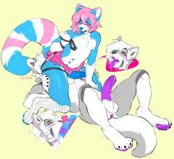 ailurid anal anthro anus balls blue_body blue_penis blush bottomwear canid canine canis catzino clothing collar deep_rimming duo facesitting femboy fishnet_clothing fishnet_leggings fishnet_legwear genitals grey_body hi_res humanoid_genitalia humanoid_penis jinn_(jinnexx) leash leash_pull leashed_collar leggings legwear lying male male/male male_rimming_male mammal miniskirt nipples on_back open_mouth oral penis pink_body pink_eyes purple_penis red_panda rimming rimming_male sex simple_background sitting_on_another skirt tongue tongue_out white_body wolf yellow_background yellow_eyes