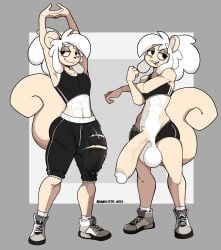abs anthro aronhilistix athletic athletic_anthro athletic_male athletic_wear balls big_balls big_penis bottomwear clothing coffee_(buxy) crop_top erection femboy footwear fur genitals grey_background gym_bottomwear gym_shorts hair half-closed_eyes hi_res huge_balls huge_cock humanoid_genitalia humanoid_penis male mammal multicolored_body multicolored_fur muscle_tone muscles narrowed_eyes open_mouth open_smile pants pecs penis rodent sciurid shirt shoes shorts simple_background smile sneakers solo tan_body tan_fur topwear torn_bottomwear torn_clothing torn_pants tree_squirrel two_tone_body two_tone_fur vein veiny_penis white_body white_fur white_hair